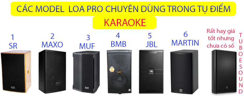 Khi mua Loa nghe nhạc - Karaoke gia đình 