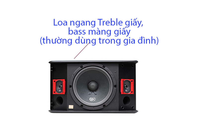 Khi mua Loa nghe nhạc - Karaoke gia đình 